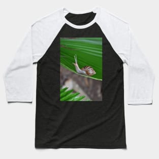 Snail Baseball T-Shirt